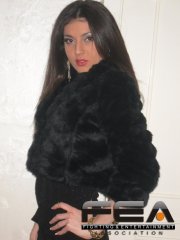 Nadea
