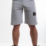 Мужские тренировочные шорты. Цвет серый лого  WAK-1F MOLDOVA