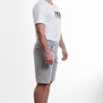 Мужские тренировочные шорты. Цвет серый лого  WAK-1F MOLDOVA