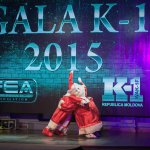 Найди себя на GALA K-1 2015 PART2