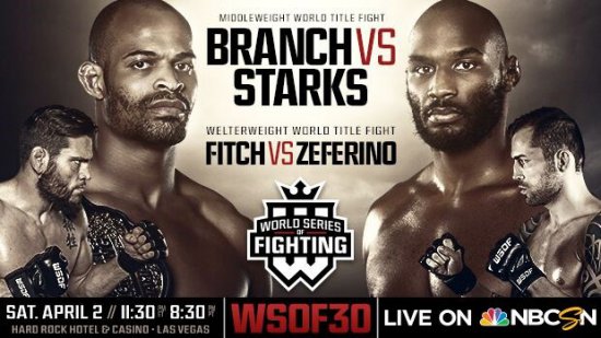 Результат WSOF 30