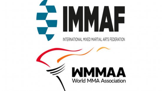 Две мировые федерации ММА проголосовали за слияние.