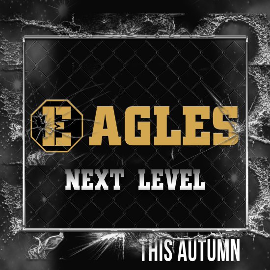 EAGLES NEXT LEVEL - новый уровень в турнире EAGLES который вы увидите этой осенью. 